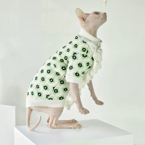 113054-841966.jpg Déguisement pour chat – Veste pull en dentelle chic