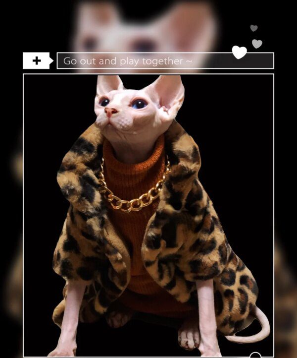 Déguisement pour chat – Veste léopard doublement rembourrée