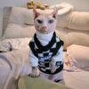 Deguisement pour chat Pull épais à col en V pour chat Sphinx sans poils