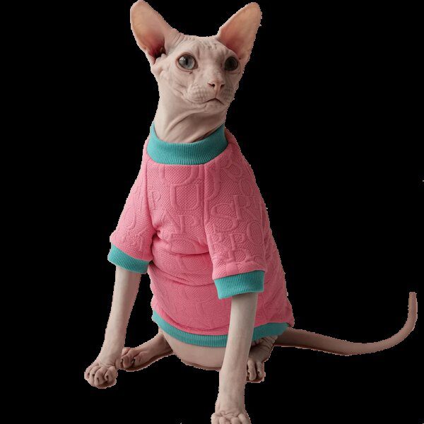 Déguisement pour chat – Pull chariot rose pour Sphyn