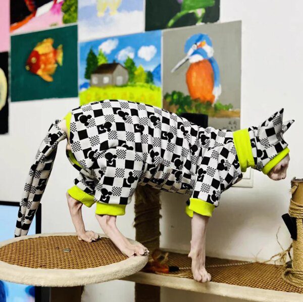 Déguisement pour chat – Pull 4 pattes avec couvre-queue pour chat sans poils