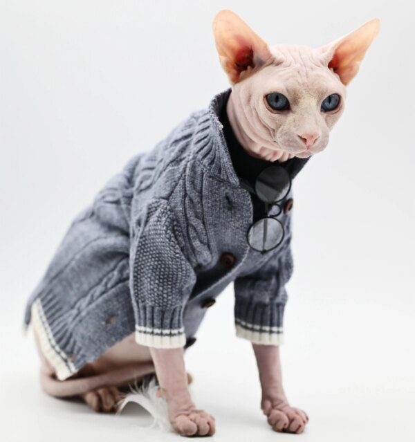 Déguisement pour chat – Pull à col roulé polaire pour chat sans poils