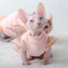 Déguisement pour chat – Sweat à capuche en coton doux