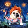 Déguisement Halloween pour chat & chien – Costume Cosplay