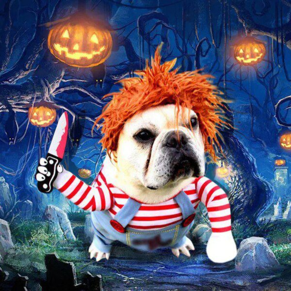 Déguisement Halloween pour chat & chien – Costume Cosplay