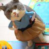 113342-057aa1.jpg Déguisement pour chat – Costume de Samouraï