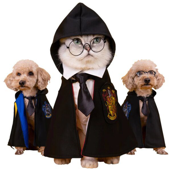 Déguisement pour chat – Manteau magique à capuche