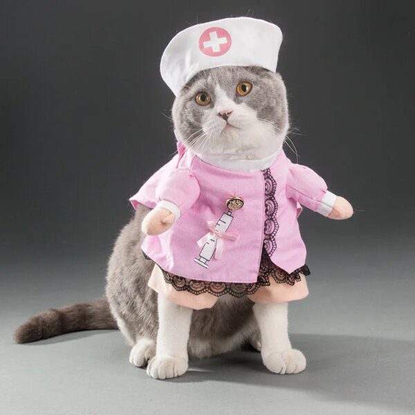 Déguisement pour chat – Costume Cosplay amusant & accessoires