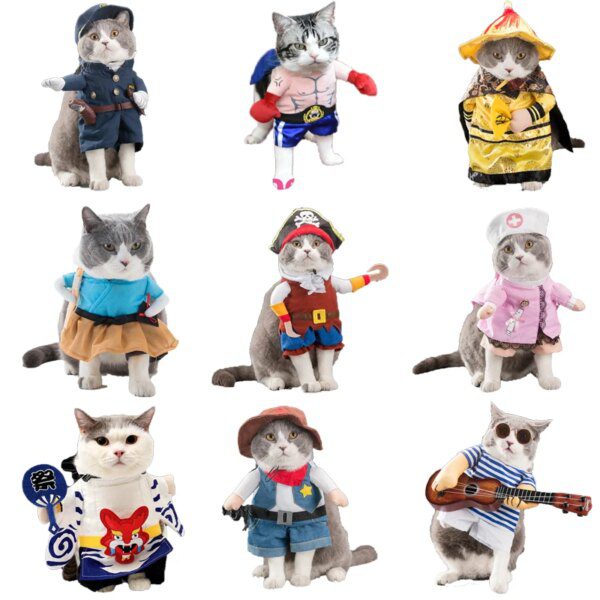 Déguisement pour chat – Costume Cosplay amusant & accessoires