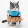 Déguisement pour chat – Costume Cosplay amusant & accessoires