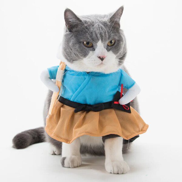 Déguisement pour chat – Costume Cosplay amusant & accessoires