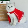 113496-1b379e.jpg Déguisement pour chat – Écharpe & cape de Noël chauds