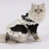 Déguisement pour chat – Ensemble robe & chapeau de femme de chambre