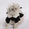 Déguisement pour chat – Ensemble robe & chapeau de femme de chambre