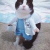 Déguisement pour chat – Costume de Docteur pour animaux