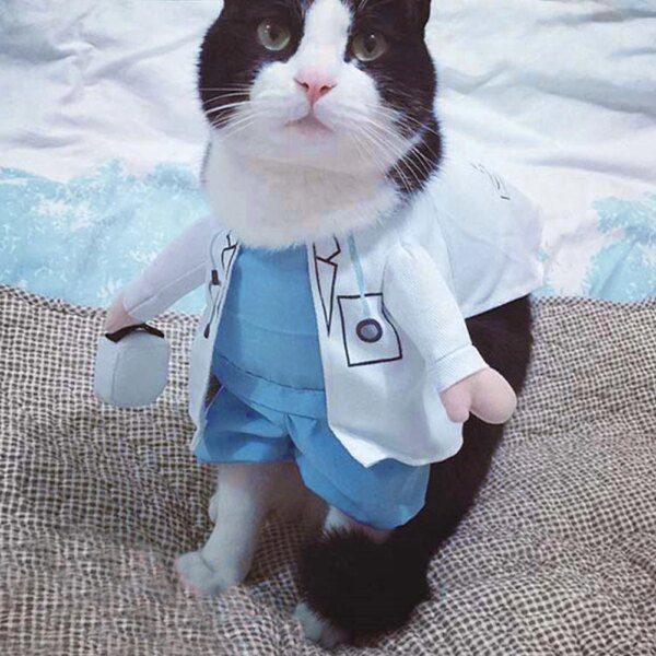 Déguisement pour chat – Costume de Docteur pour animaux