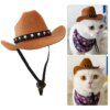 Chapeau Cowboy pour chat & petit chien – Accessoire photo western