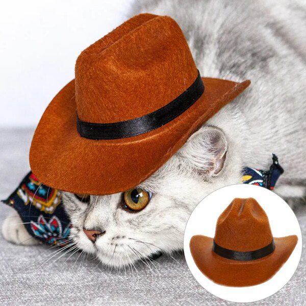 Chapeau Cowboy pour chat & petit chien – Accessoire photo western