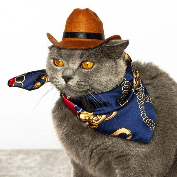 Chapeau Cowboy pour chat & petit chien – Accessoire photo western