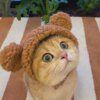 113640-0749ff.jpg Bonnet pour chat avec oreilles d’ours – Casquette cosplay
