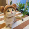 113640-2ae59d.jpg Bonnet pour chat avec oreilles d’ours – Casquette cosplay