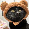 113640-5245f3.jpg Bonnet pour chat avec oreilles d’ours – Casquette cosplay