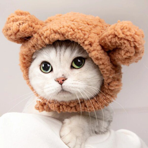 Bonnet pour chat avec oreilles d’ours – Casquette cosplay