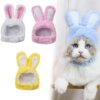 Bonnet amusant pour chat & petit chien – Accessoire de costume peluche
