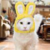 Bonnet amusant pour chat & petit chien – Accessoire de costume peluche