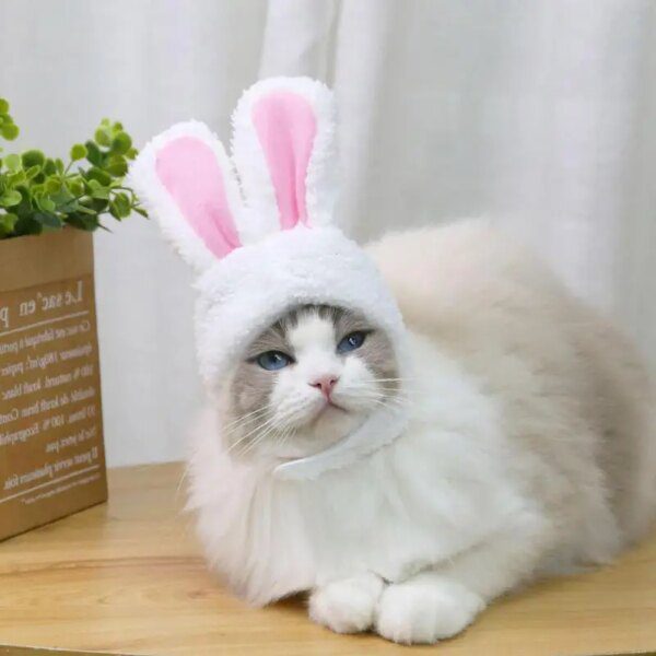 Bonnet amusant pour chat & petit chien – Accessoire de costume peluche