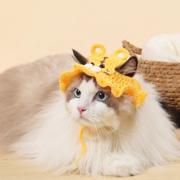 Chapeau élastique raffiné et mignon pour chat & chiot – Accessoire photo