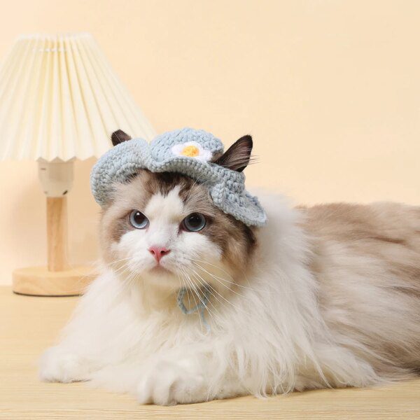 Chapeau élastique raffiné et mignon pour chat & chiot – Accessoire photo