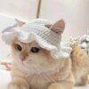 Chapeau élastique raffiné et mignon pour chat & chien – Accessoire photo