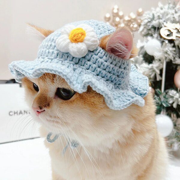 Chapeau élastique raffiné et mignon pour chat & chien – Accessoire photo