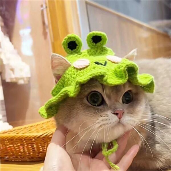 Chapeau élastique raffiné et mignon pour chat & chien – Accessoire photo