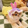Chapeau élastique raffiné et mignon pour chat & chien – Accessoire photo