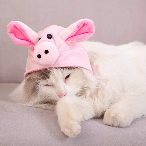 113794-163db8.jpg Bonnet pour chat d'hiver chaud pour chat, accessoires mignons pour chaton