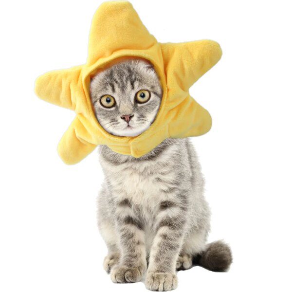 Bonnet de Noël pour chat & petit chien – Accessoire festif chaud