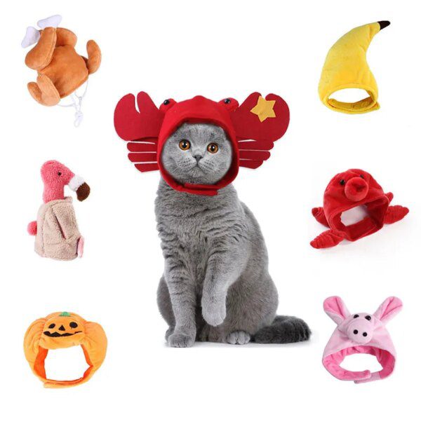 Bonnet de Noël pour chat & petit chien – Accessoire festif chaud