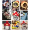 Bonnet mignon dessin animé pour chat & petit chien – Chapeau cosplay
