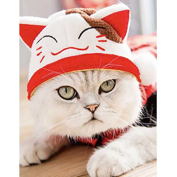 Bonnet mignon dessin animé pour chat & petit chien – Chapeau cosplay