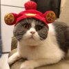 Bonnet mignon dessin animé pour chat & petit chien – Chapeau cosplay