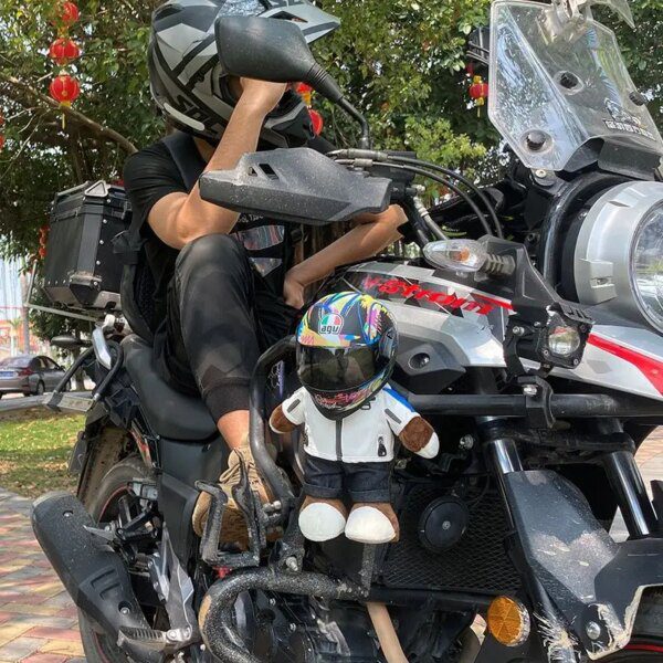 114020-2e6710.jpg Casque Décoratif pour Chat & Chien – Mini Casque Moto Photo