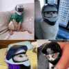114020-845bad.jpg Casque Décoratif pour Chat & Chien – Mini Casque Moto Photo