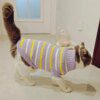 Pull Imprimé Mignon pour Chat & Petit Chien – Manteau Élastique Printemps