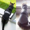 114171-aacedf.jpg Pull de Sécurité pour Chat & Petit Animal – Veste Combinée