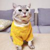 Pull Polaire Chaud pour Chat & Chien – Vêtement Uni Confort