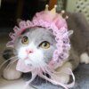 Chapeau Sauna Wear pour chat – Couronne & bonnet d’anniversaire