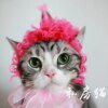 Chapeau Sauna Wear pour chat – Couronne & bonnet d’anniversaire