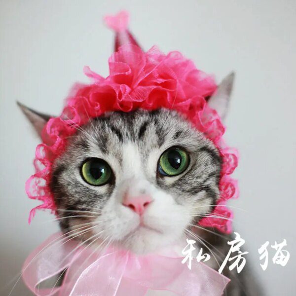 Chapeau Sauna Wear pour chat – Couronne & bonnet d’anniversaire